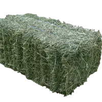 یونجه درجه یک