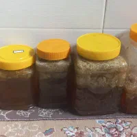 عسل وحشی کوهی دارویی درمانی