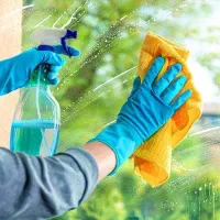 جویای کار خانم هستم