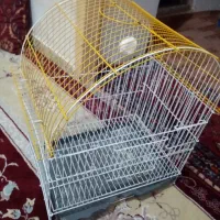 یک عدد قفس در حد نو