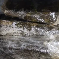 سبزی خورشتی رامهرمز ۱۰ کیلو آب پز شده
