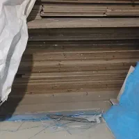 نئوپان