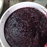 رب آلوچه جنگلی ملس ممتاز
