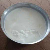 ماست محلی پر چرب