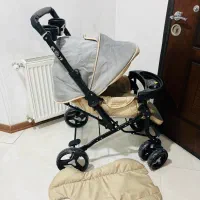 کالسکه دسته دوطرفه دلیجان مدل بنیتاخوش رنگ درحدنو