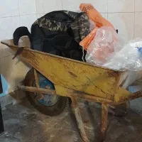 فرغون