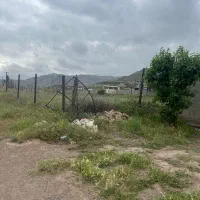 زمین-باغی