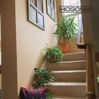 سوئیت ۵۵ متری