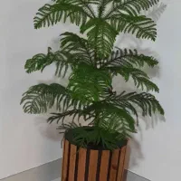 گلدان چوبی نو و شیک
