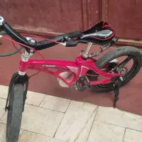 دوچرخه