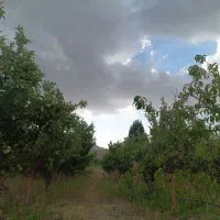 صادقی-فروش-باغ-میوه-منطقه-آبغد-رودخانه
