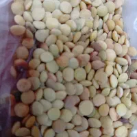 عدس درجه یک محلی