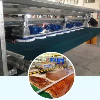 اعلاشویی افسون