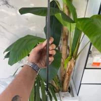 Ipad pro M4 2024|تبلت|کرج, فاز ۳ گوهردشت|دیوار