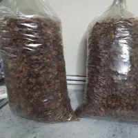 لواشک و آلوچه و آلو بخارا