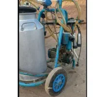 شیردوش سالم