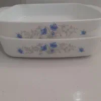 ظروف پذیرایی