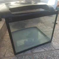 اکواریوم