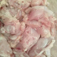 بچه فیله