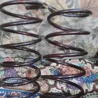 پنر اسپرتی در خد وشک