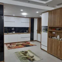 سیلو مدل ۸۱