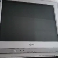 تلویزیون