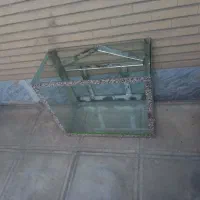 آکواریوم ماهی