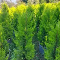 سرایداری همراه با کار و حقوق قانون اداره کار