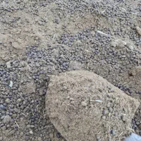 کود گوسفندی بسته بندی ۱۰ و ۱۵ کیلو پلاستیک بهداشتی
