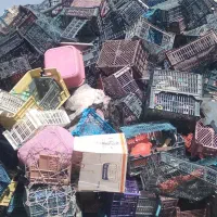 فروش سبد رنگی
