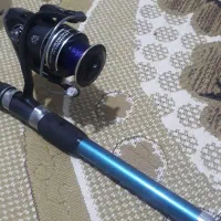 لنسر ماهگیری