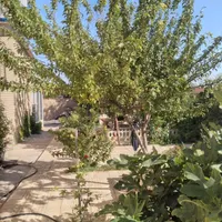 اجاره یا رهن خانه ویلایی ۴۳۰ متری  شهرک امیر کبیر|اجارهٔ خانه و ویلا|اراک, |دیوار