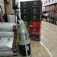 استخدام نیرو