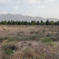 زمین 67.5 قصب لاین b هفت باغ