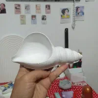 جا اکسسوری پینترستی طرح صدف