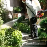 سمپاشی گل وگیاه ودرختان تشخیص وعیبیابی ومریضی انها