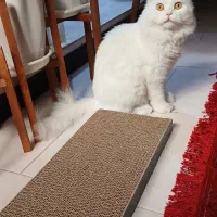 اسکرچر مخصوص گوربا