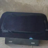 هود