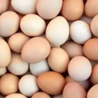 تخم مرغ محلی