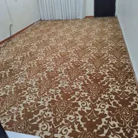 موکت در حدنو تمیز