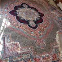 قالی 12متری فروشی