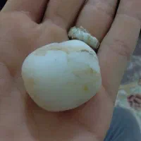 سنگ|کلکسیون اشیاء عتیقه|ابهر, |دیوار