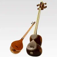 تدریس خصوصی موسیقی تار و سه‌تار در پردیس