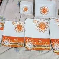 ظروف پذیرایی وغذا خوری