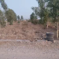 فروش482متر باغ سند تک برگ روستای امام رضا