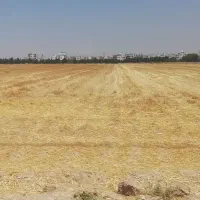 1 هکتار زمین 500 متری واوان سند دار