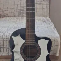 گیتار AK30