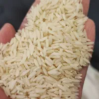 برنج ایرانی کلات درگز