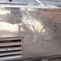 فریزر صنعتی