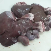 جگر تازه گوسفندی کیلو ۱۳۰۰